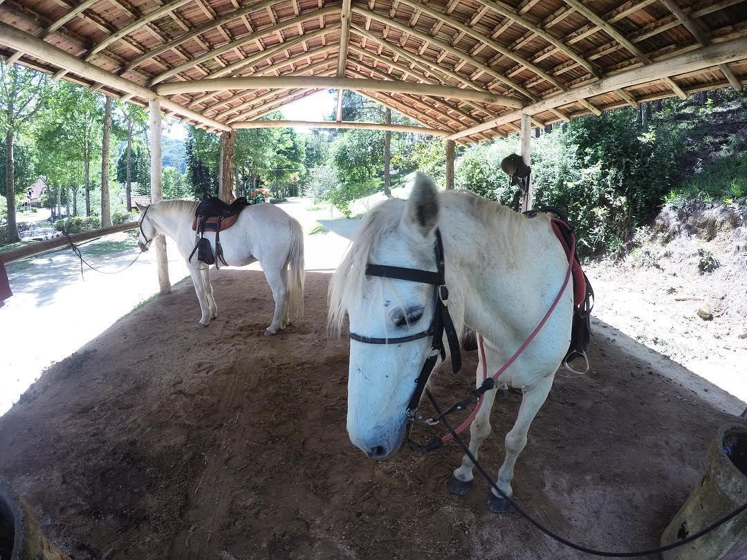 Hotel Fazenda Monte Verde Golf & Resort Vargem Alta Buitenkant foto