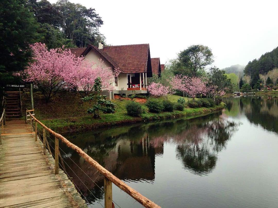 Hotel Fazenda Monte Verde Golf & Resort Vargem Alta Buitenkant foto